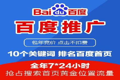 百度SEO推广公司成功案例：助力企业实现流量暴增